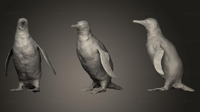 Статуэтки птицы Пингвин